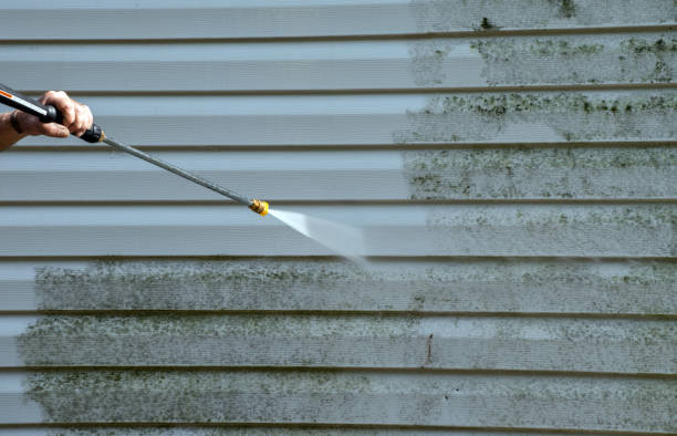 Best Dumpster Area Cleaning  in Hahnville, LA